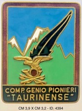 ALPINI COMPAGNIA GENIO PIONIERI "TAURINENSE" DISTINTIVO PRODUTTORE ANONIMO 