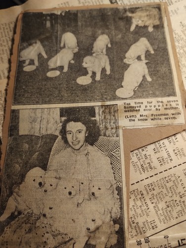 Sk236 ephemera picture - sk236,