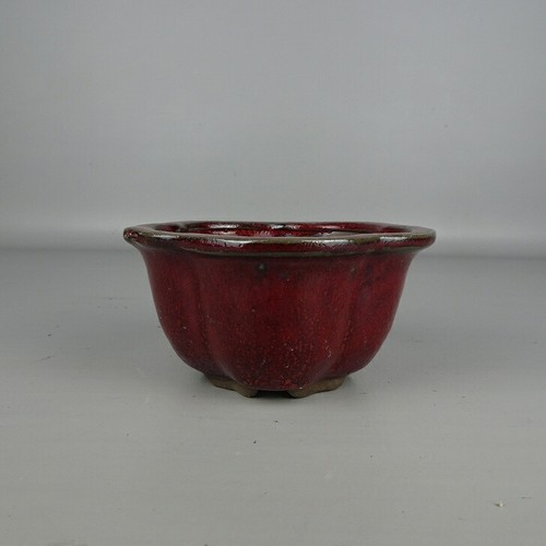 Vaso per bonsai - , giapponese