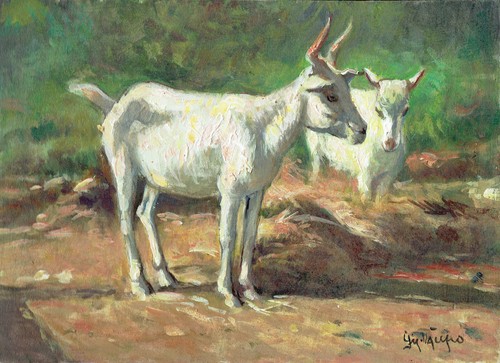 Dipinto olio capre giacomo - capre,