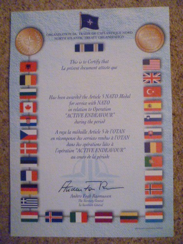 Genuine nato medal - nato,