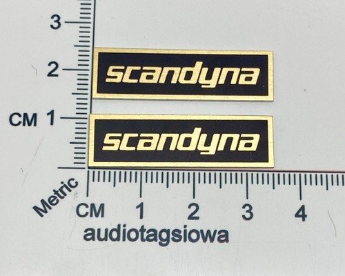 Scandyna speaker badge logo - speaker,