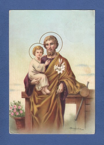 Illustrata zandrino san - illustrata,