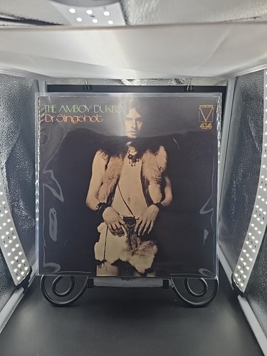 Rare the amboy dukes - rare!,