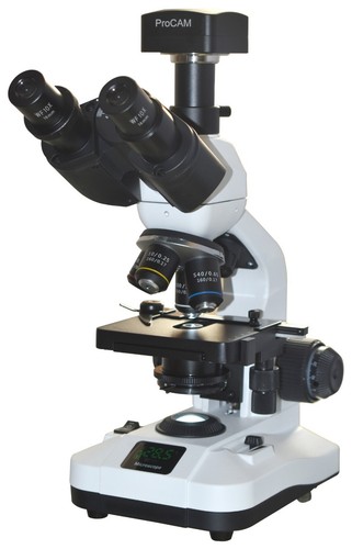 Microscopio composto