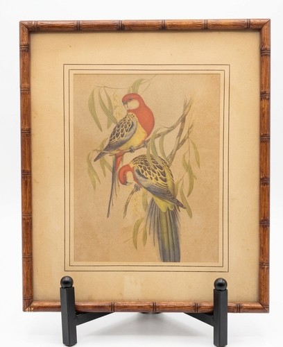 Cornice vintage john gould - cornice,