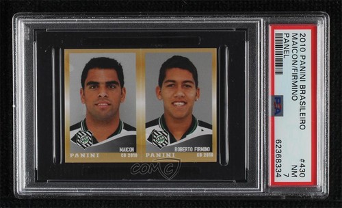 2010 panini campeonato - panini,