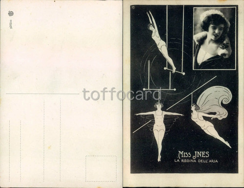 Circo trapezio miss jnes - circo, trapezio-miss