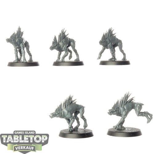 Tau empire kroot hound - tau, 5