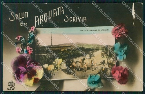 Alessandria arquata scrivia - alessandria,