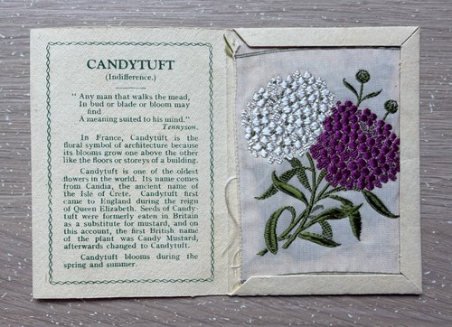 Kensitas wix flowers - a,
