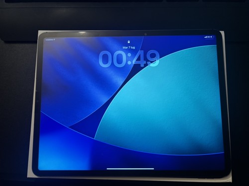 Ipad pro gen - 256, g