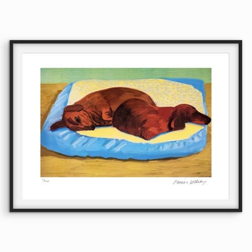 Firmato david hockney dog - -, 43