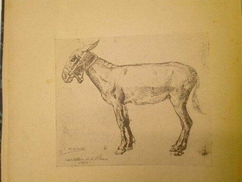 Libro antico duecento - -,