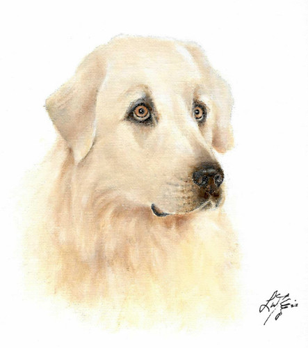 Dipinto originale ritratto - dipinto,