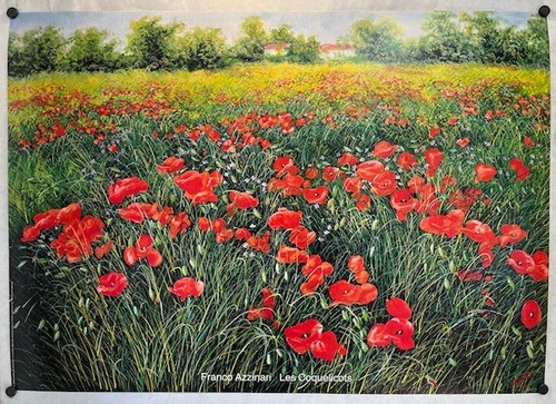 Les coquelicots franco - coquelicots, di