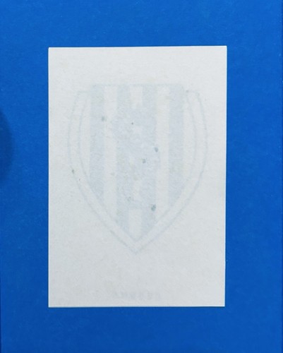 Figurina calciatori panini - figurina,
