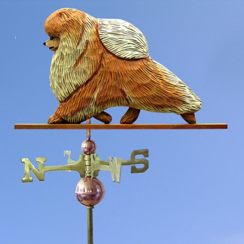 Pomerania intagliato mano - intagliato, a