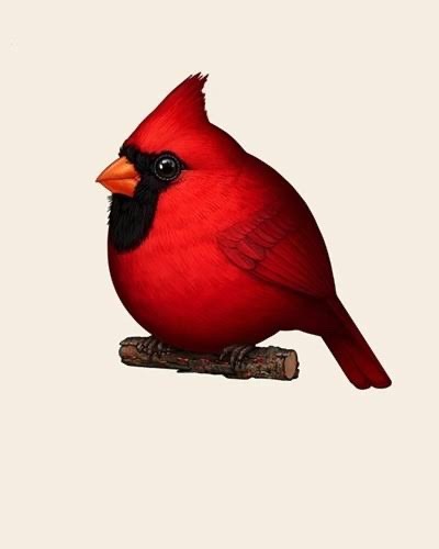 Mike mitchell cardinal - -, ii