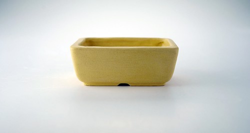 Vaso bonsai artigianale