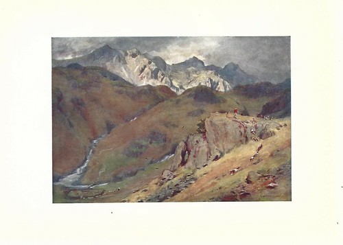 Stampa antica cumbria caccia - stampa,
