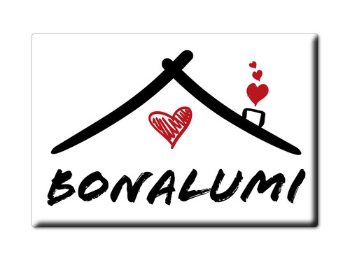 Bonalumi calamita magnete - calamita, da