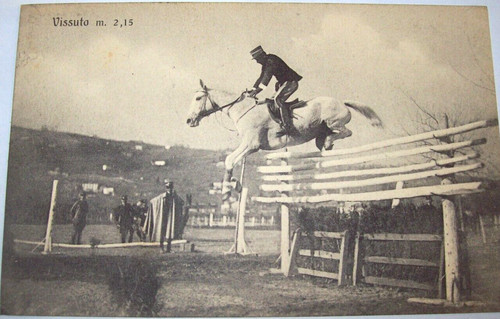 1913 cartolina ippica cavallo - 1913,