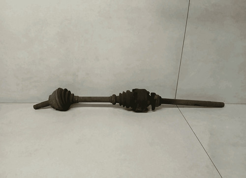 46308072 semialbero ant - semialbero,