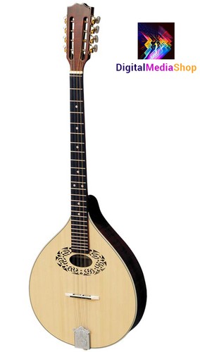 Mandolino ottava custodia - mandolino, +
