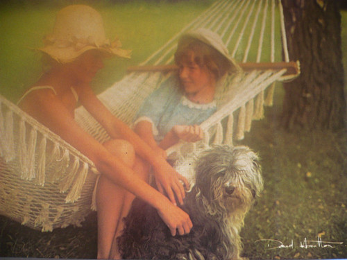 Carte postale david - carte,
