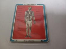 IL Corpo Umano Scheda Tabella Figurina In Metallo *Vintage