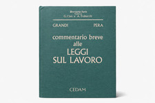 Commentario breve alle leggi