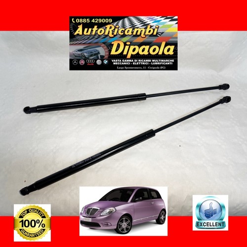 Coppia molle gas - 2,