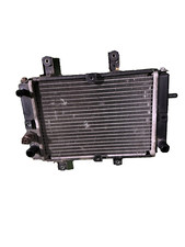 RADIATORE SYM CITYCOM 300