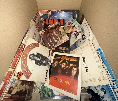 Lotto dischi vinile - lotto,