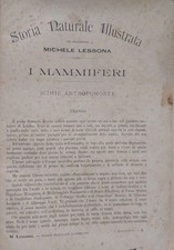 1889 Lessona Storia Naturale