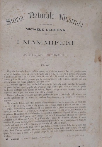 1889 lessona storia - lessona, naturale