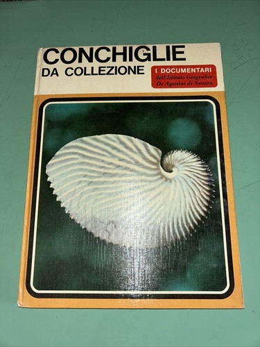 Conchiglie collezione de - da,