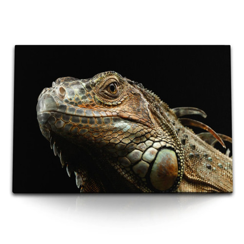 Quadro tela 120x80 - su, cm
