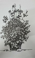 LUCA CRIPPA (1924-2002)