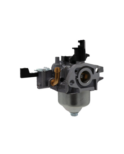 Briggs stratton carburatore - briggs,