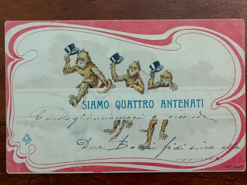Siamo quattro antenati scimmie - siamo,