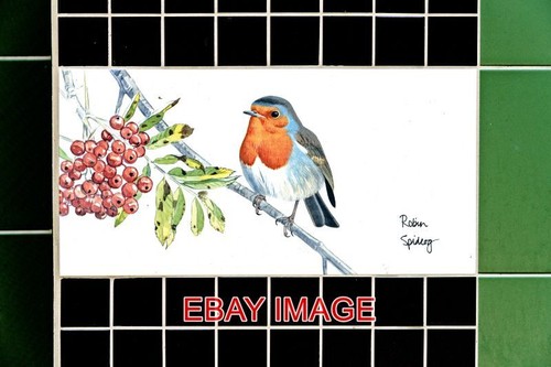 Photo the irish robin tiles - photo,