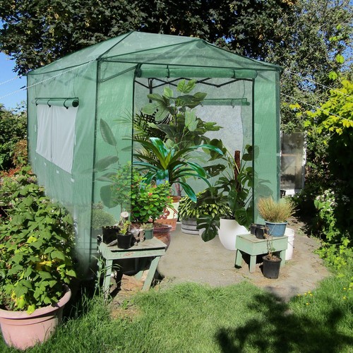 Serra serra per pomodori