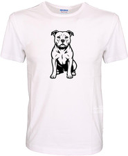 Staffordshire Bull Terrier -