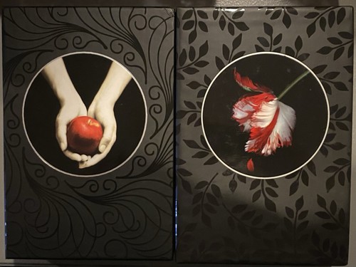 Set twilight new - 2,