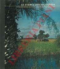 Le Everglades in Florida. Le grandi distese selvagge.  (4-65524)