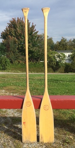 Ottimo set paddle - ottimo,