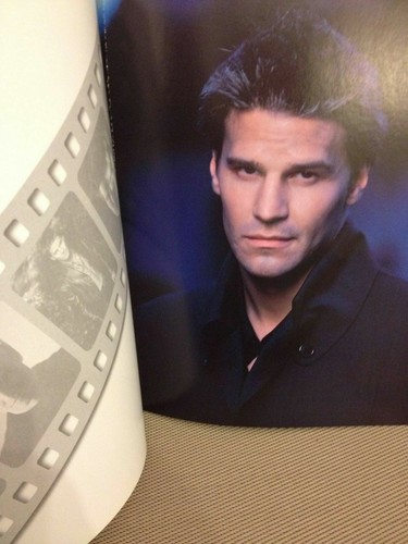 Angel buffy the - angel-buffy, vampire