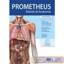 9788836231539 AA.VV. PROMETHEUS. ATLANTE DI ANATOMIA EDISES